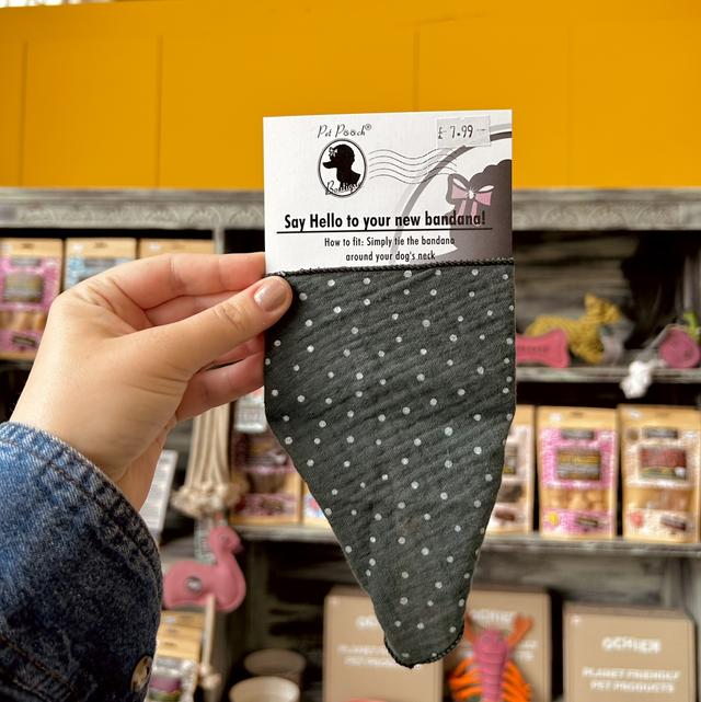 Pet Pooch Boutique Thistle Green Polka Dot Dog Bandana -Extra Small