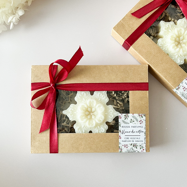 L'étoile de Noël - Fleur de coton