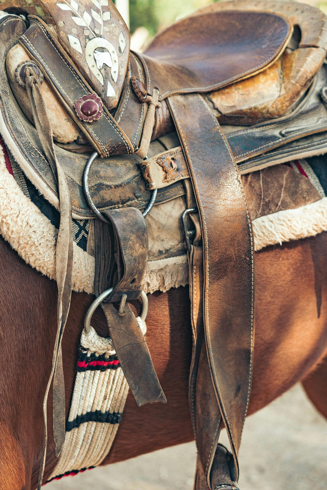 Saddle and harness repairs priced from...