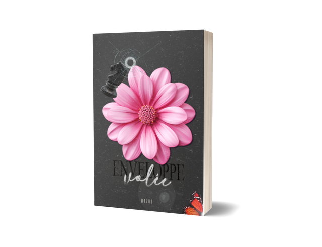 Enveloppe Volée TOME 1 (broché)