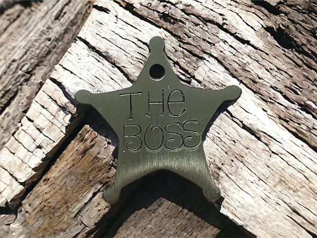 The Boss Pet Tag - Brass Sheriff Star