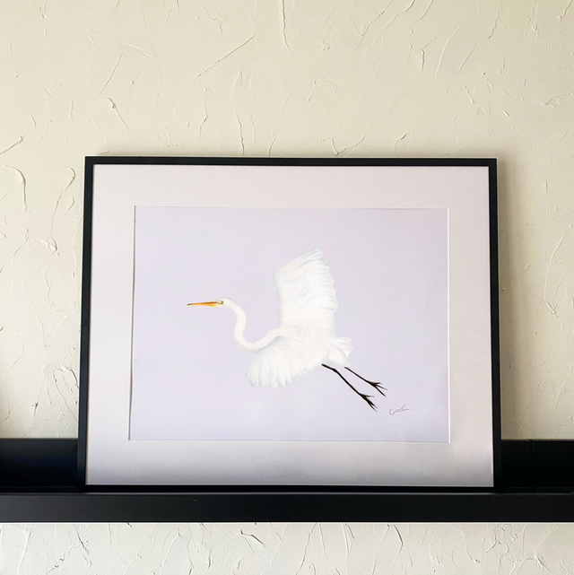Garza Blanca 