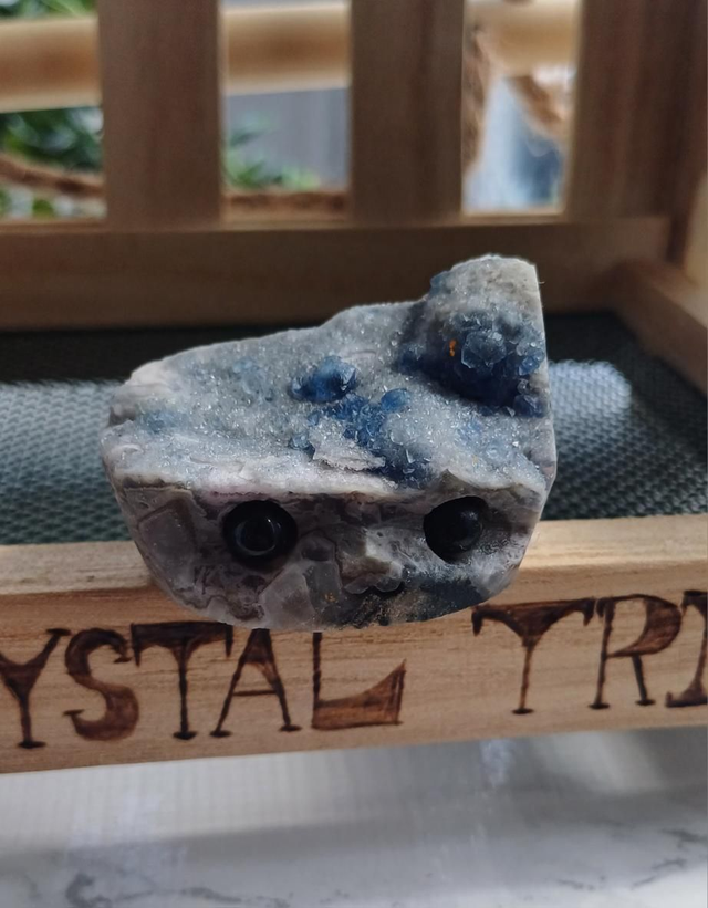 Nyxie  - Crystal Critter