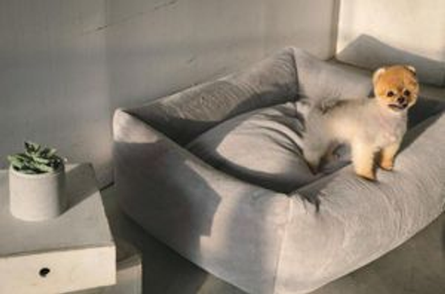 LETTO PER CANI 38X48