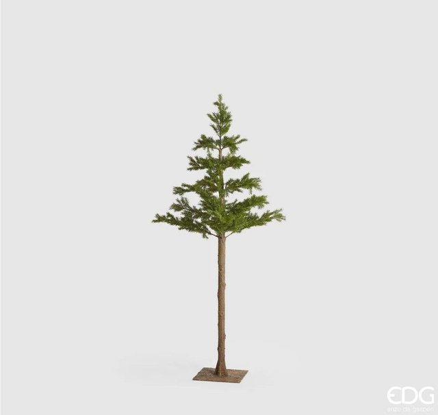 EDG Enzo De Gasperi Pino West Tronco Lungo H162 cm con Base in Metallo