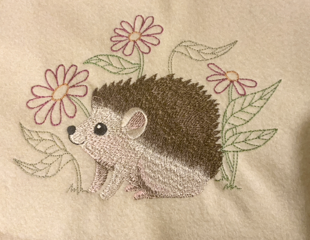 Hedgehog ( woodland )