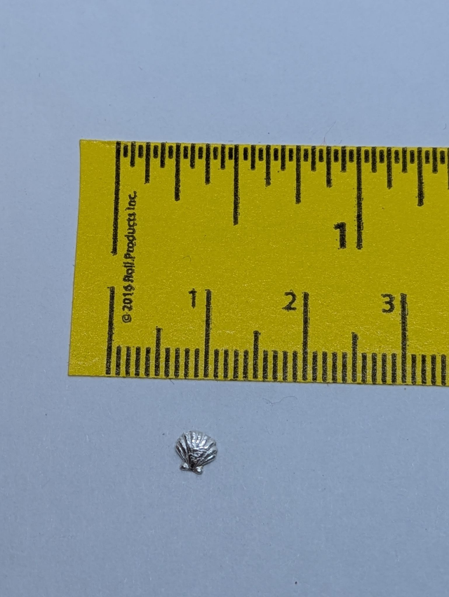 XSmall Scallop Shell Earrings