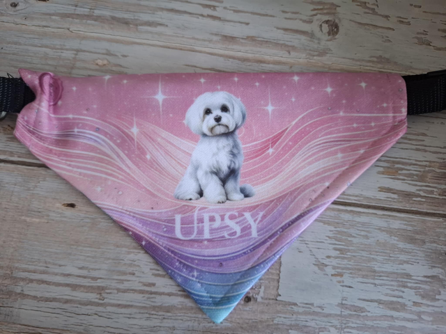 Bandana Upsy personnalisable S au XL 
