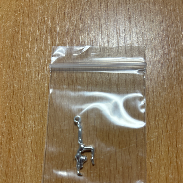 Hanger zilver zonder ketting