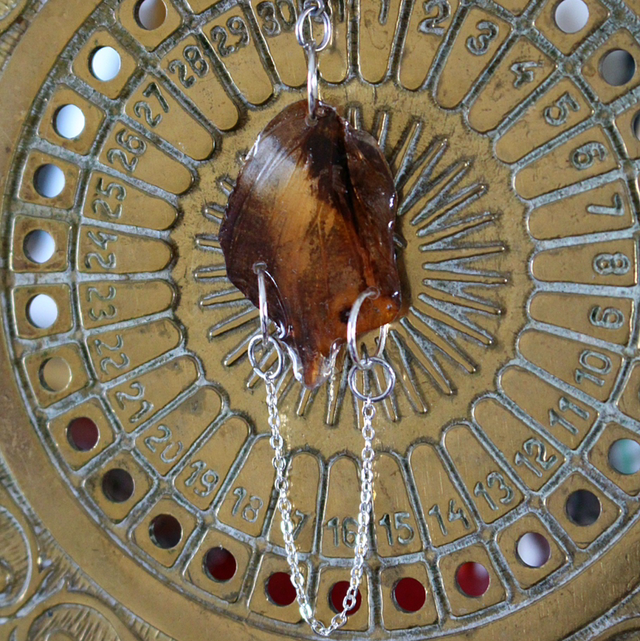 Monoboucle aile de papillon