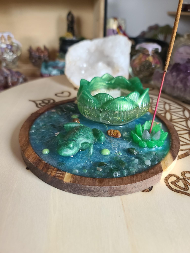 Plateau de fumigation 🐸 Métamorphose de la grenouille rond