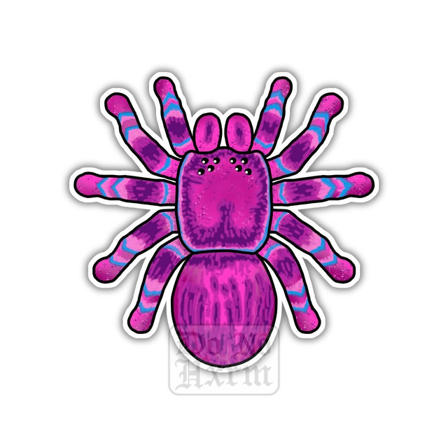 Pink Tarantula Sticker
