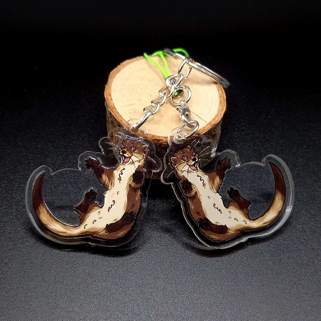 COLLECTION MUSTELIDAE