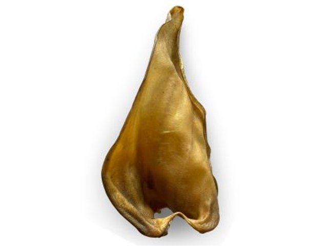 Oreille de bœuf (1 pièce)  