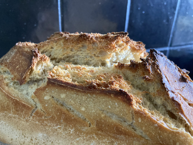 Pain bio au petit lait et petit épeautre : Le P'ti-Tout   /  prix au kg