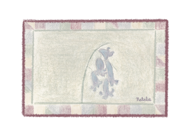 Bluebells Card