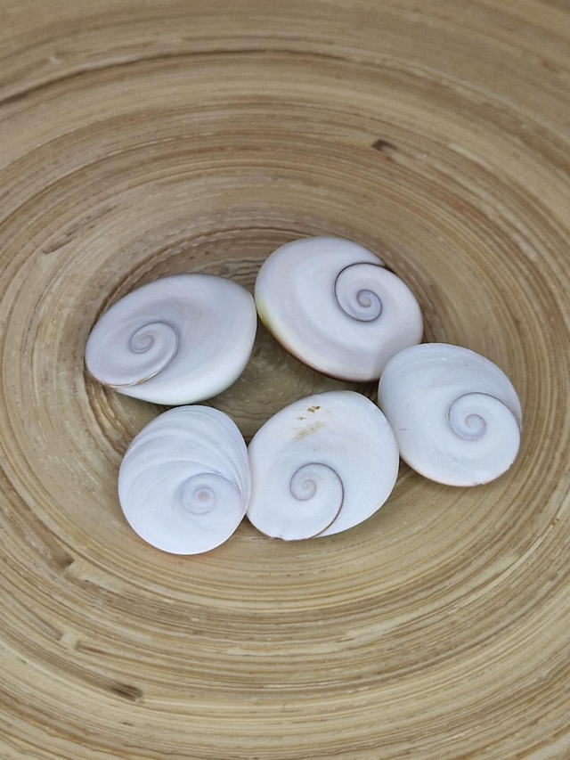 Oeil de Sainte-Lucie - Pierre roulée