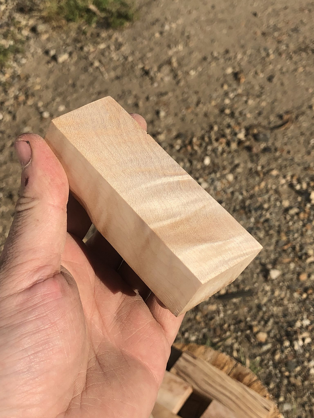 Érable sycomore ondé