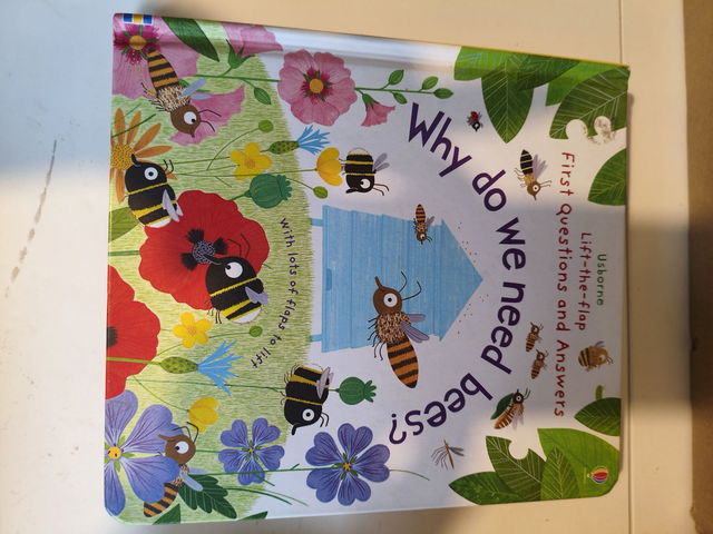 First Questions and Answers: Why do we need bees?