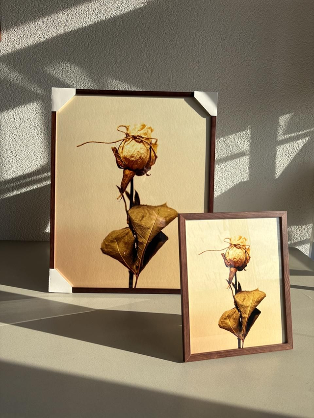 Am I normal? + frame