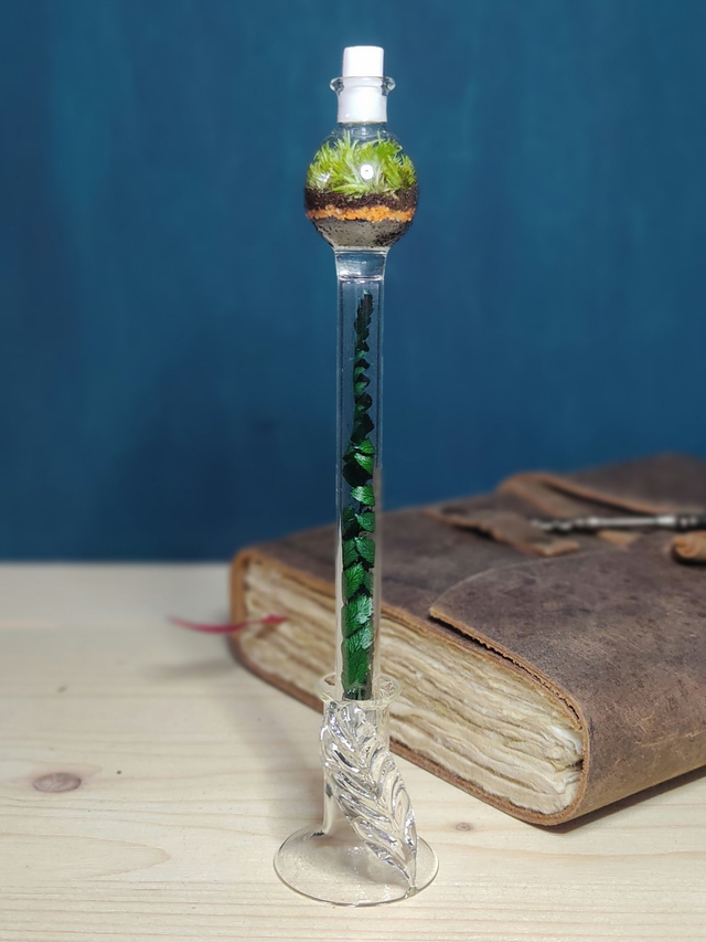 Crayon Éternel Terrarium