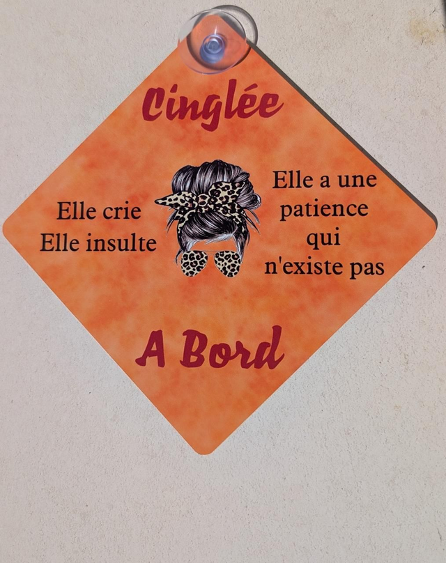 Plaque cinglée a bord