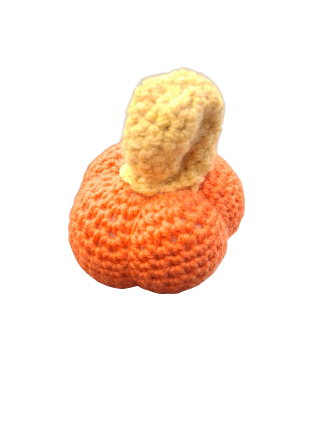 Zierkürbis 