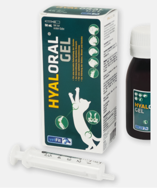 hyalORAL Katze
