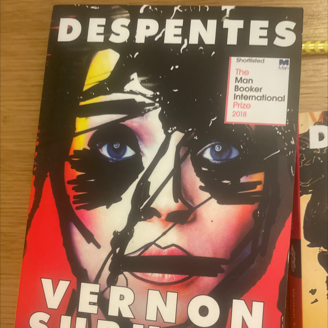 Vernon Subutex 1 Despentes, Virginie