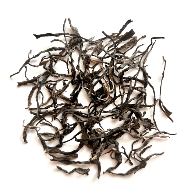 Snow Shan Sheng Puerh (2022)