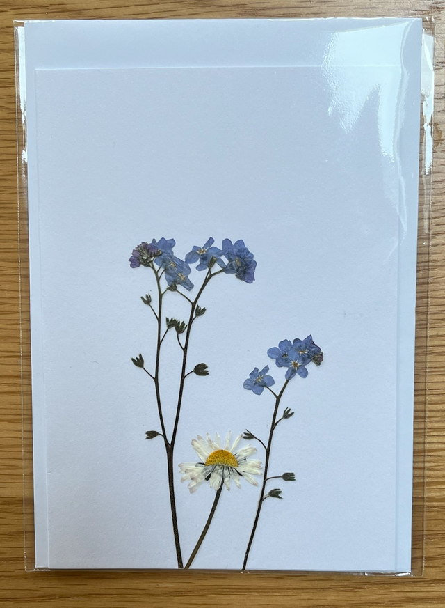 Daisy and Forget-me-nots Greeting Card