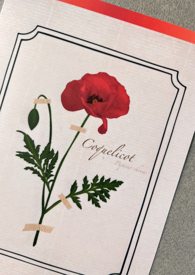 Affiche 08. Le Coquelicot (août)