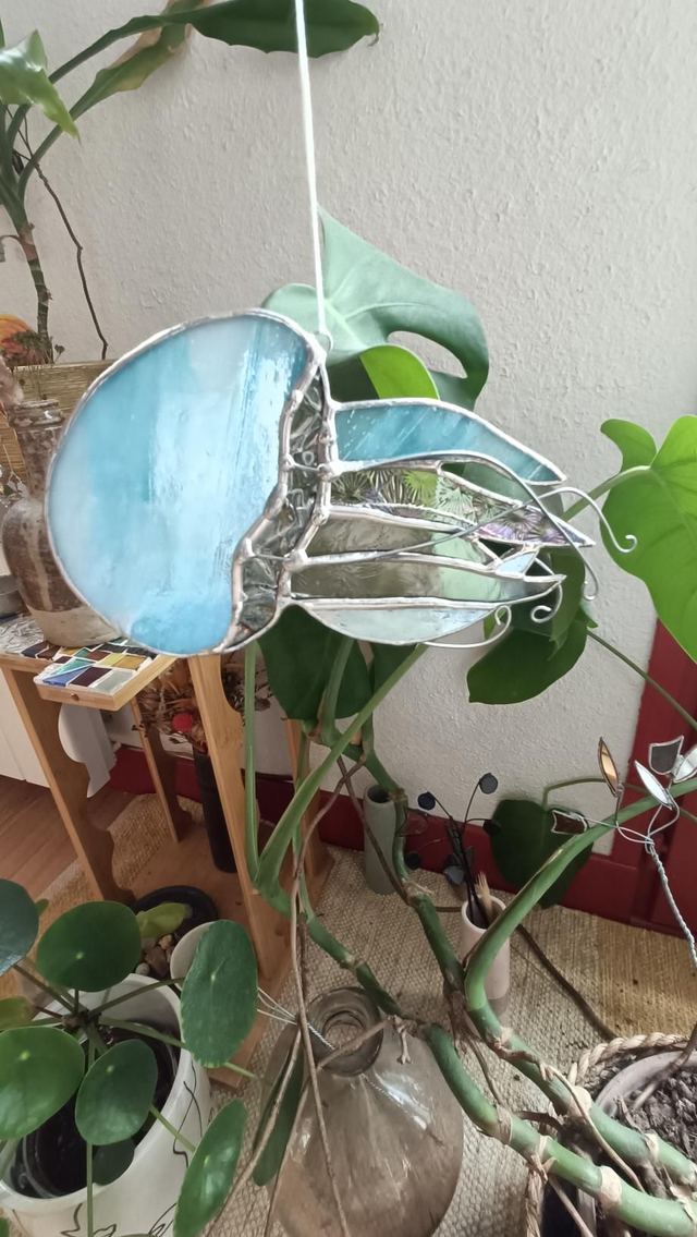 Méduse bleu ciel nacré 