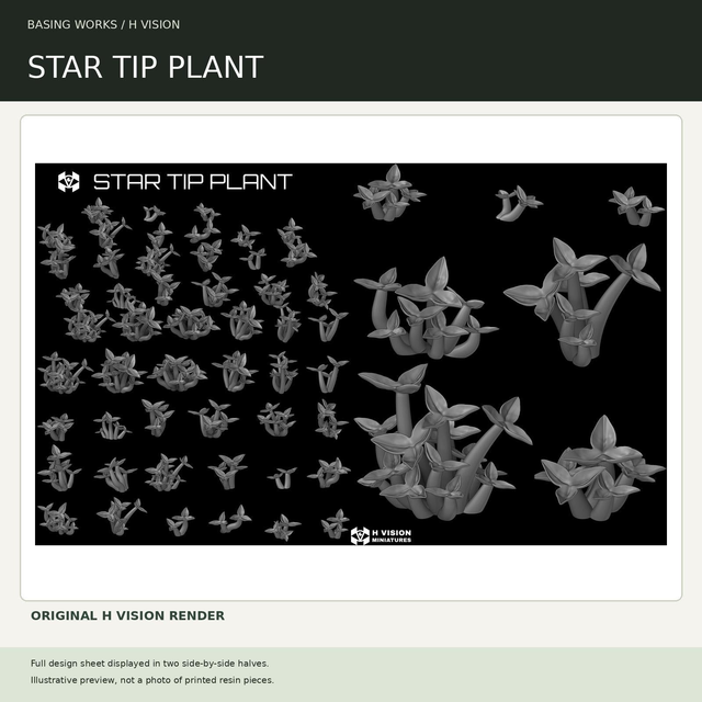 H Vision - Star Tip Plant