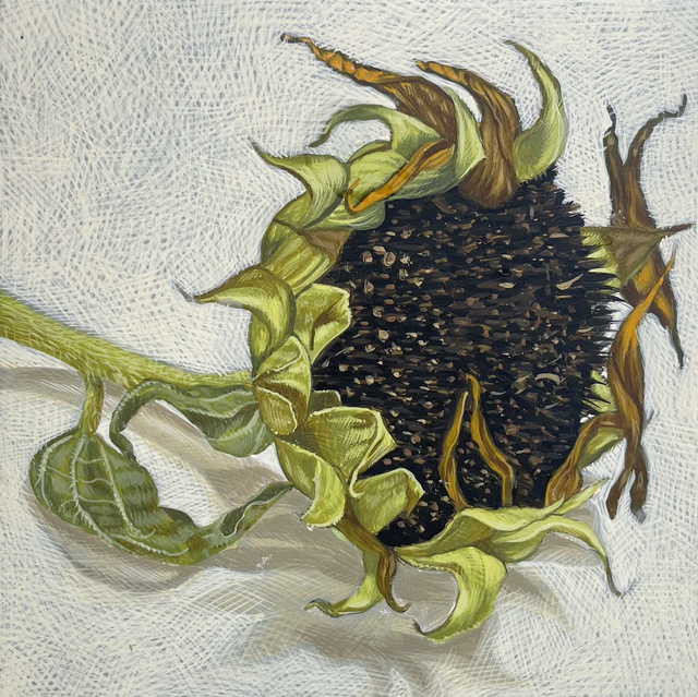Original Painting: Sunflower II