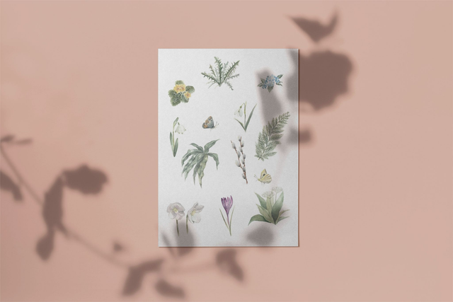 Razglednice Cvetje, komplet 6 razglednic 