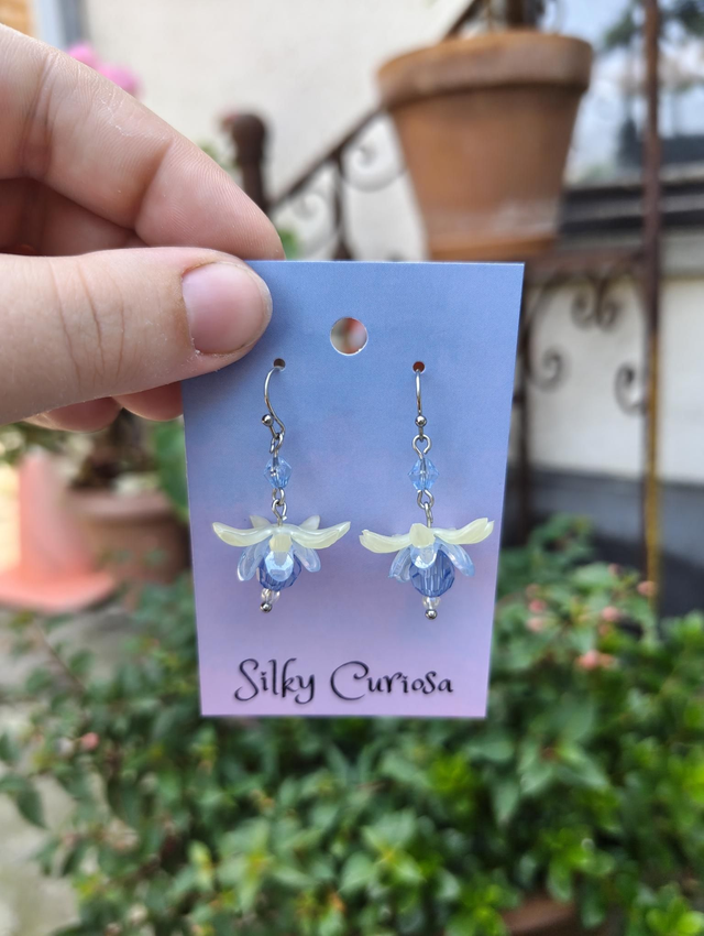 blue &amp; white flower