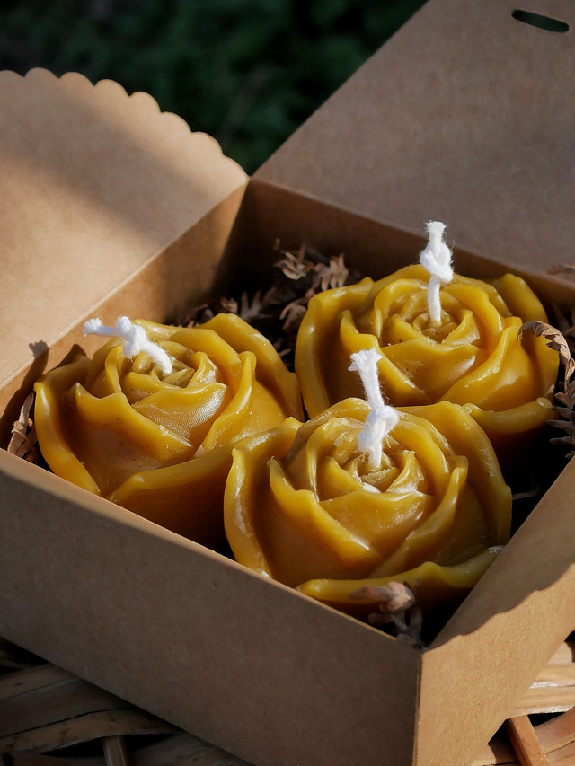 PRÉ-COMMANDE / Bougies ROSE ~ Coffret de 3