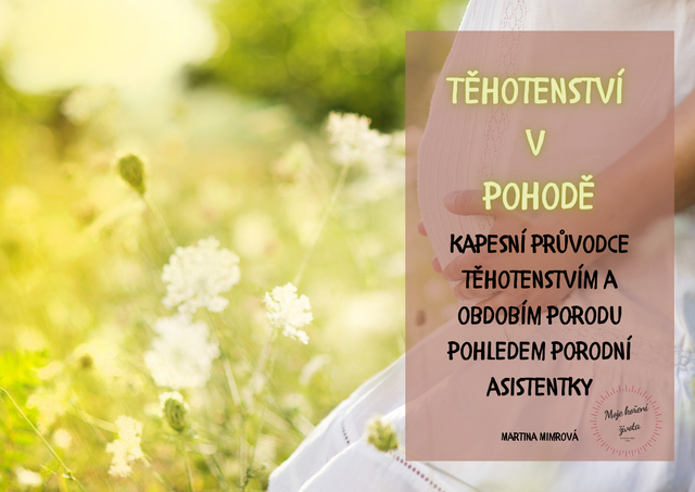 Průvodce těhotenstvím