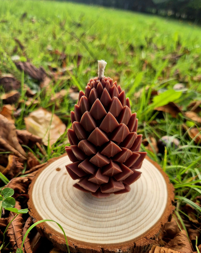 Sélection Automne/Hiver - Bougie Pomme de pin pointue