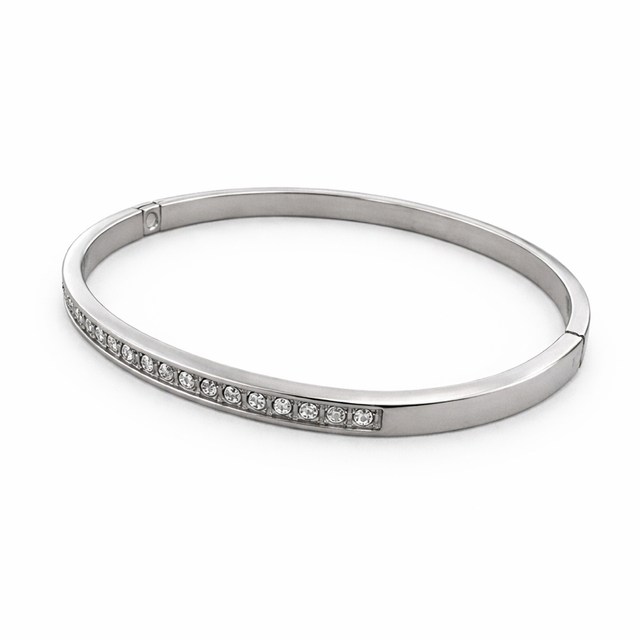 Pulsera caña acero plateado brillos 