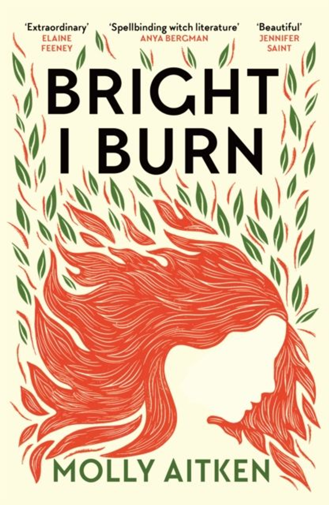 Bright I Burn | Molly Aitken