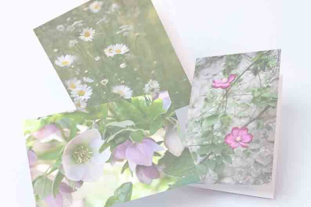 Set of Five Cards - Your Selection