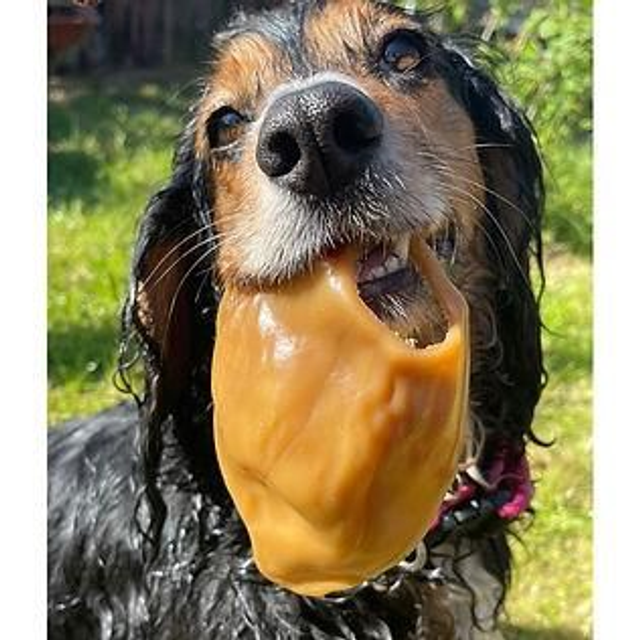 Peanut Butter Veggie Pig Ear