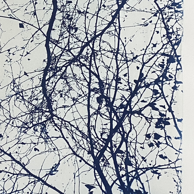 Original Cyanotype 'Restoring Balance' 50cm x 71cm