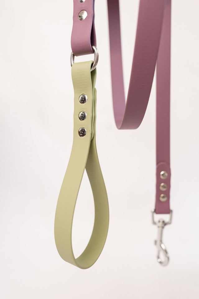 Laisse Mauve/Verte en Biothane®