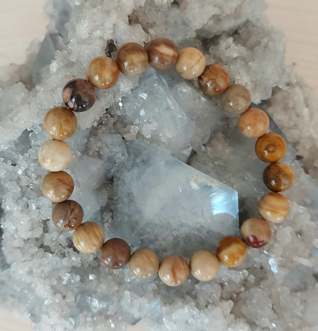 Bois Fossilisé (Pierre de) 