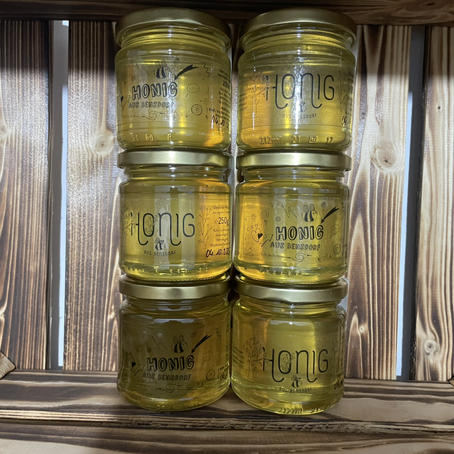 Robinienhonig 250g Glas 