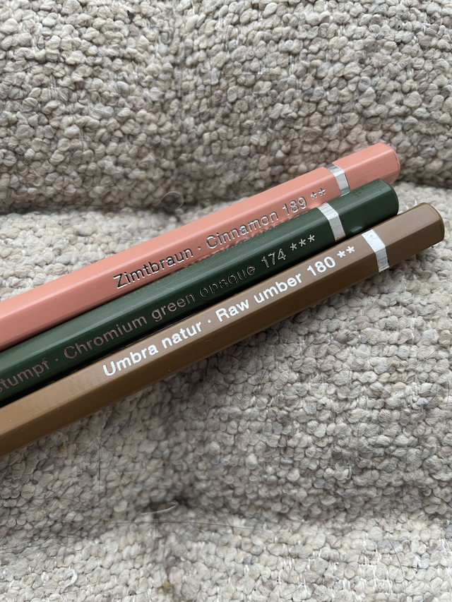 Albrecht Dürer n°189 crayon de couleur aquarellable