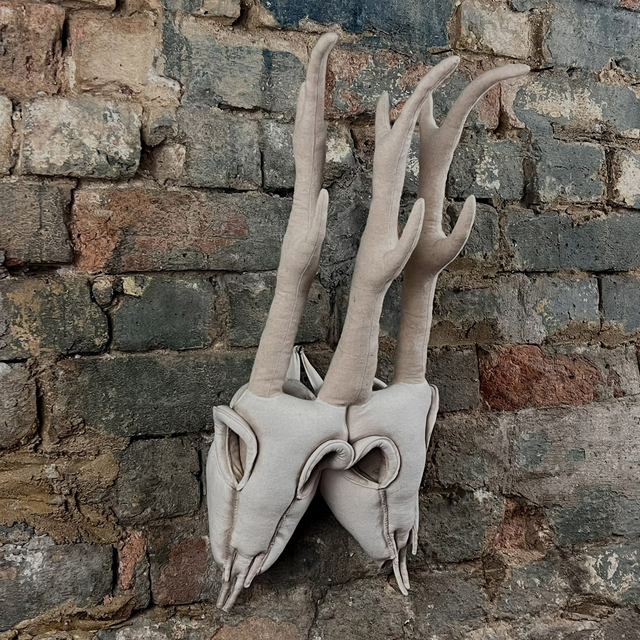 Two Headed Deer Skull
